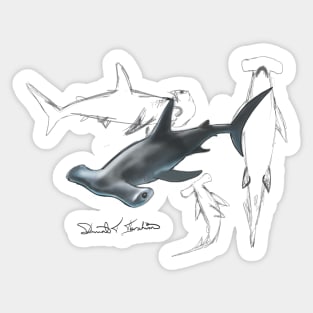 Hammerhead Shark Sticker